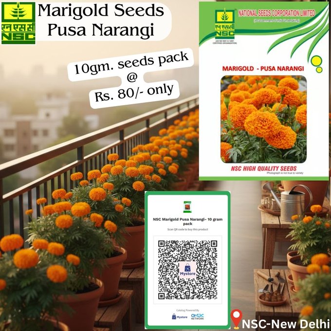 National Seeds Corporation Limited tweet media