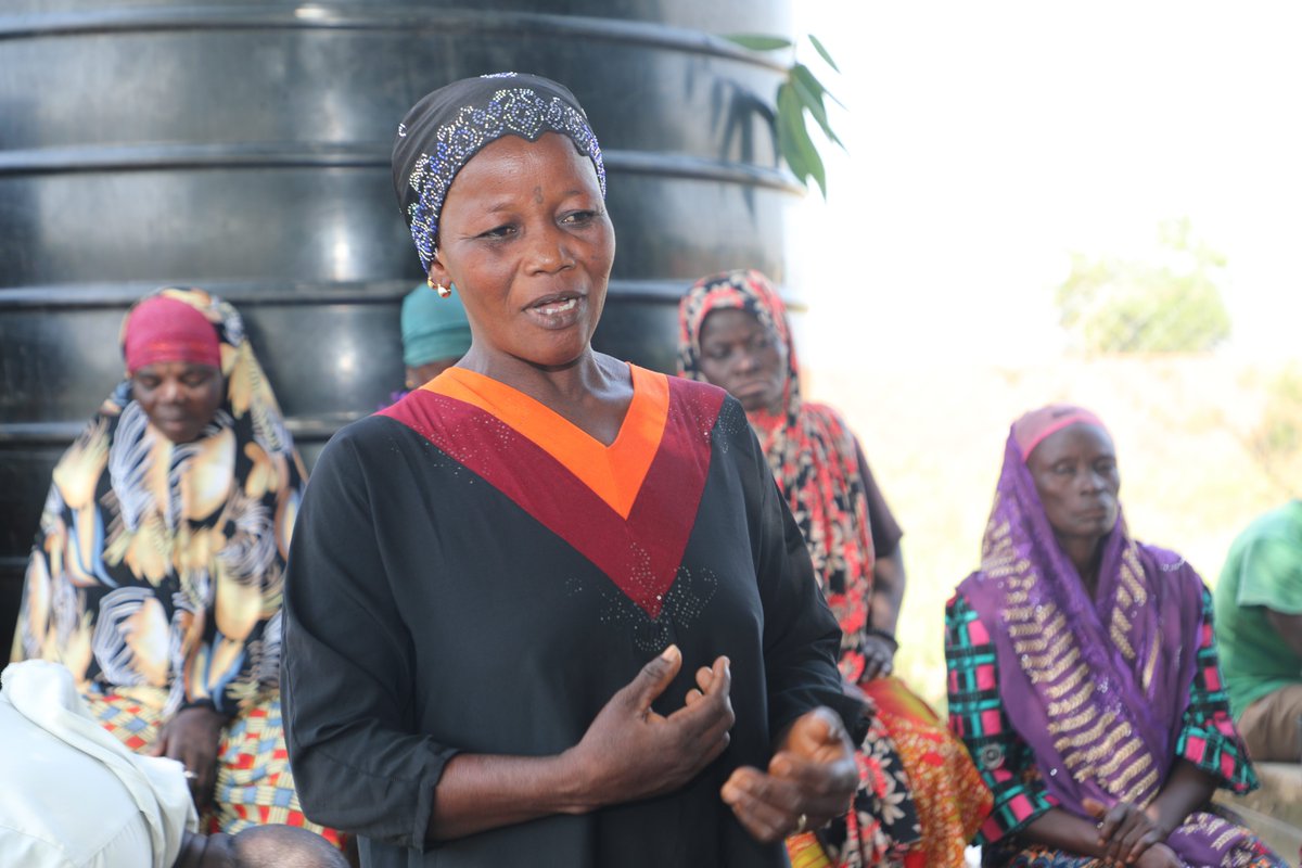 UN-REDD Programme tweet media