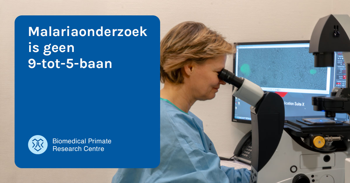 Biomedical Primate Research Centre tweet media