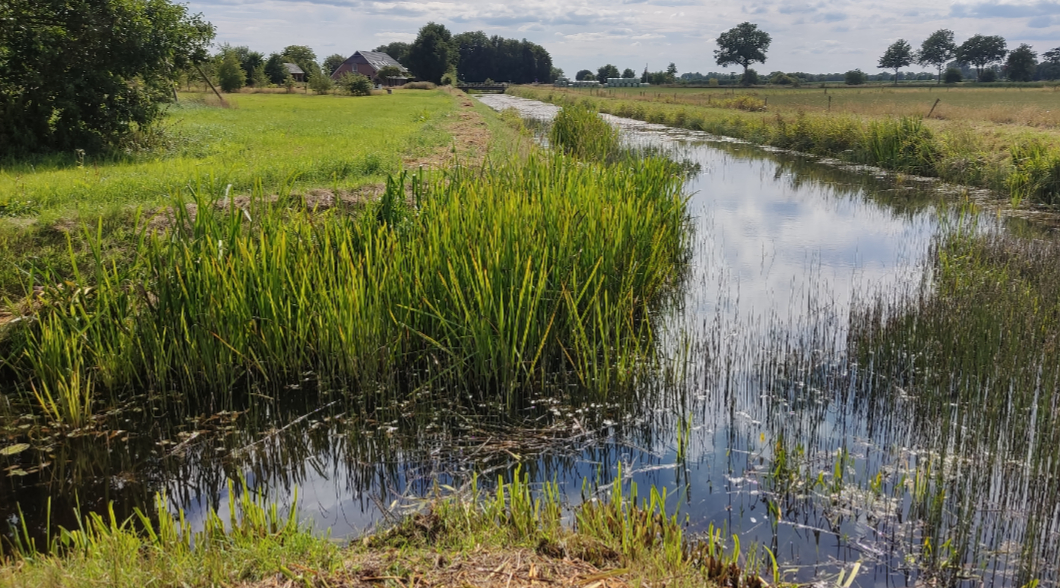 Waterschap Drents Overijsselse Delta tweet media