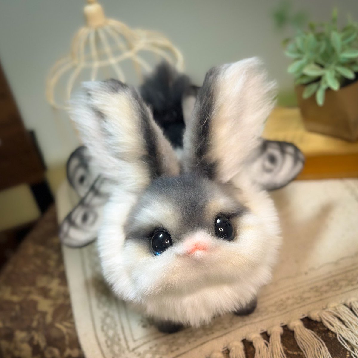 Teritre Doll/テリトルドール (@teritre_doll) / Posts / X