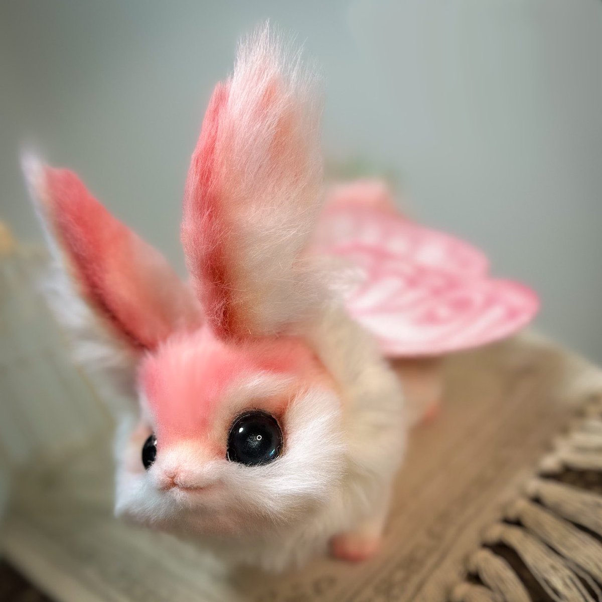 Teritre Doll/テリトルドール (@teritre_doll) / Posts / X