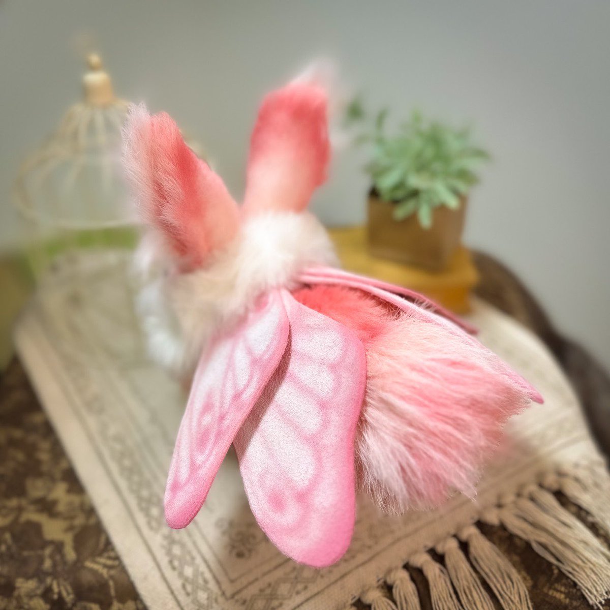 Teritre Doll/テリトルドール (@teritre_doll) / Posts / X