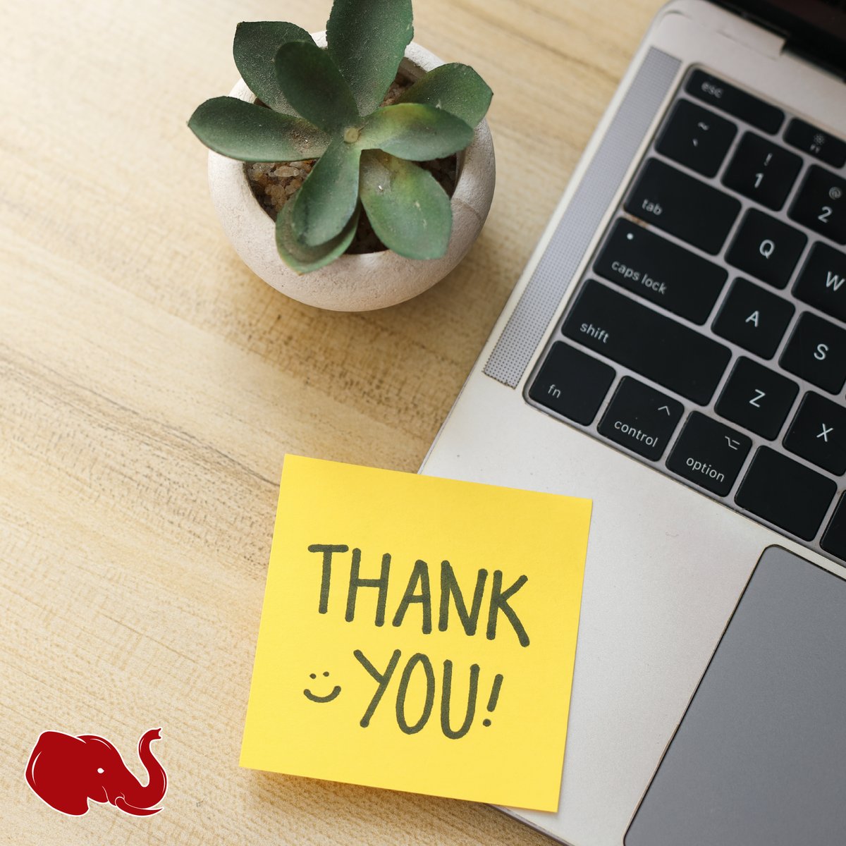 Universal Property tweet media