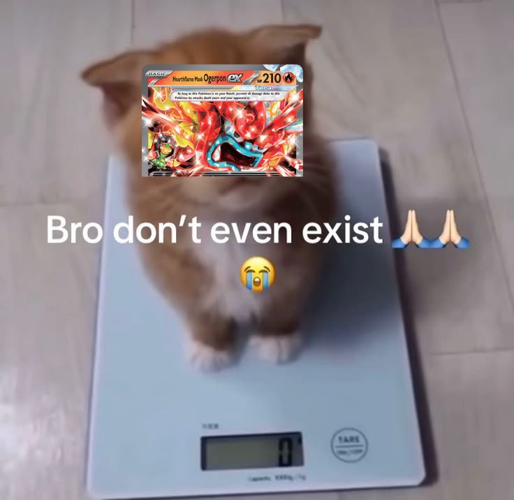 Lilligant tweet media