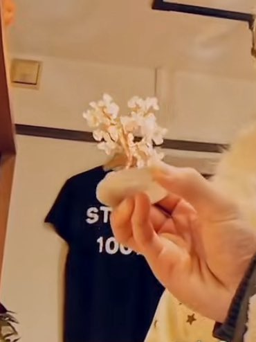 김데영이 사준 돌벚꽃나무가 너무 좋았던 나머지 벚꽃핑크가 되어버리신 유유시님
댕윳트