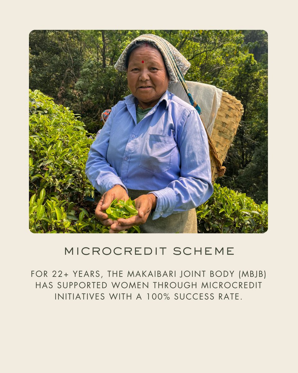 MakaibariTea's tweet photo. Established in 1859 as the world’s first tea factory, Makaibari has always grown with the strength of its women, who today make up over 70% of its workforce.

This Women’s Day, we celebrate the women who nurture the land, the tea, and the spirit of Makaibari. https://t.co/TRyM7ejjdc
