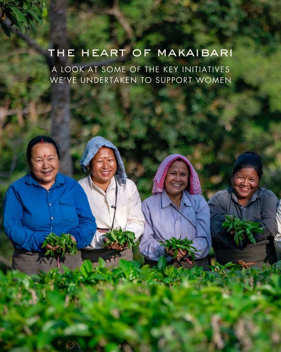 MakaibariTea's tweet photo. Established in 1859 as the world’s first tea factory, Makaibari has always grown with the strength of its women, who today make up over 70% of its workforce.

This Women’s Day, we celebrate the women who nurture the land, the tea, and the spirit of Makaibari. https://t.co/TRyM7ejjdc