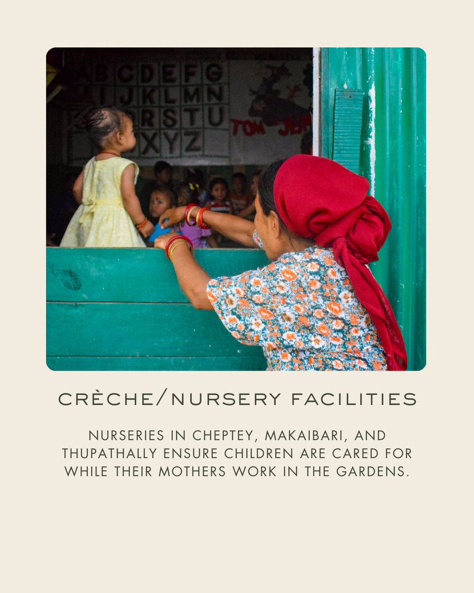 MakaibariTea's tweet photo. Established in 1859 as the world’s first tea factory, Makaibari has always grown with the strength of its women, who today make up over 70% of its workforce.

This Women’s Day, we celebrate the women who nurture the land, the tea, and the spirit of Makaibari. https://t.co/TRyM7ejjdc