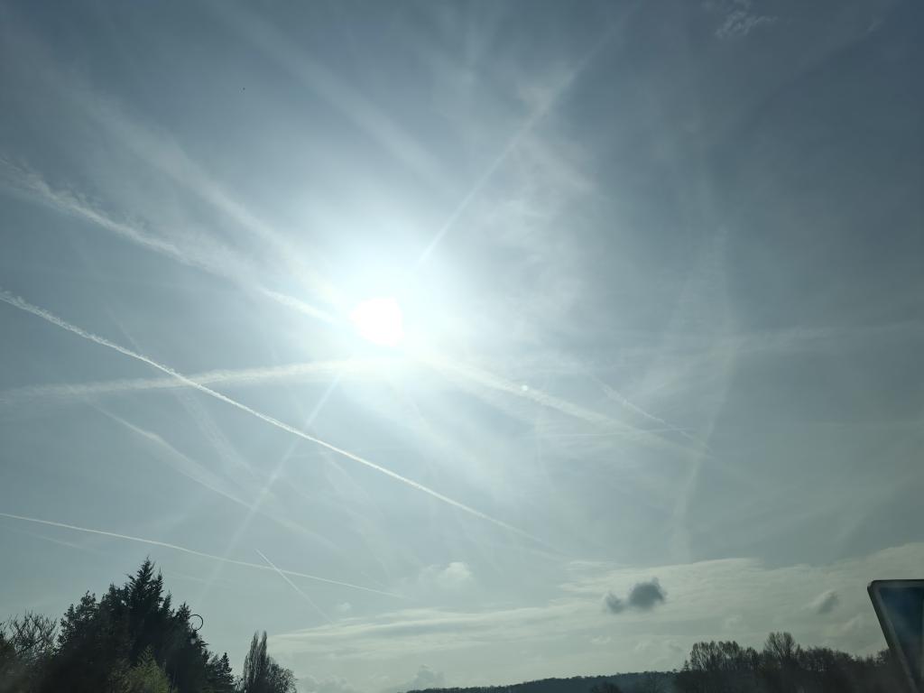 Beatrice Rosen tweet media