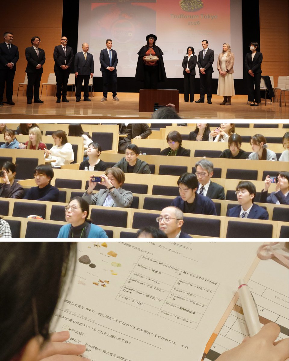 European Mycological Institute tweet media