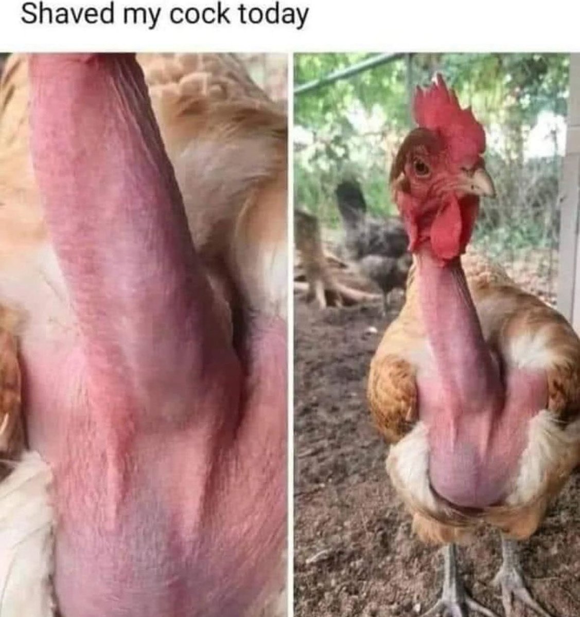 Brock Riddick tweet media