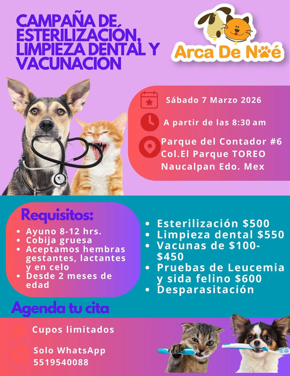 Proyecto Six Pack tweet media