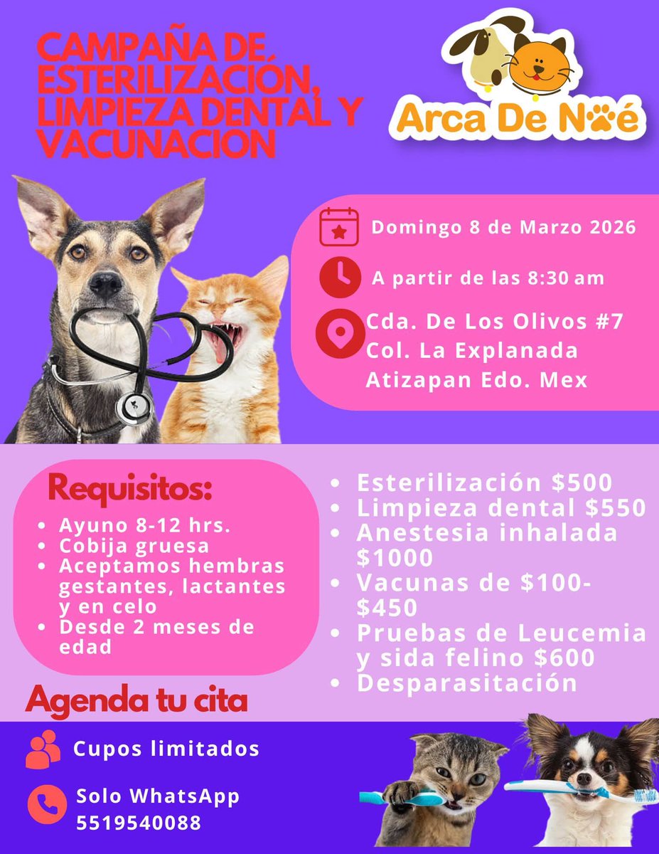 Proyecto Six Pack tweet media