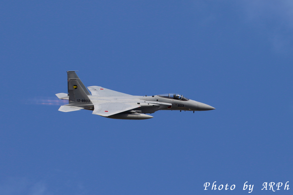 horry_tan's tweet photo. F15

 #トレトレ https://t.co/5IakXdP1cX