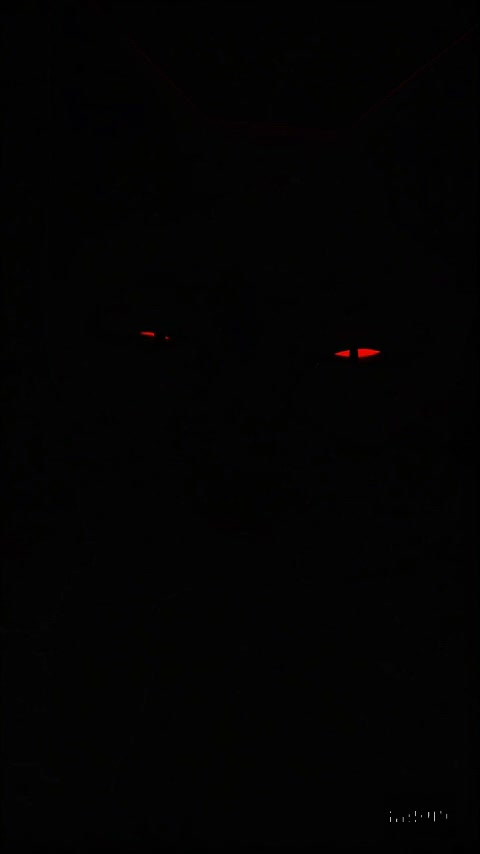 A slow pulse echoes through me, weaving soft threads of clarity I didn�t realize I was searching for.