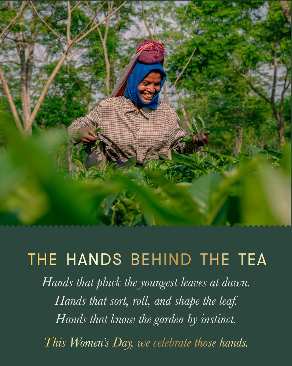 Luxmi Estates tweet media