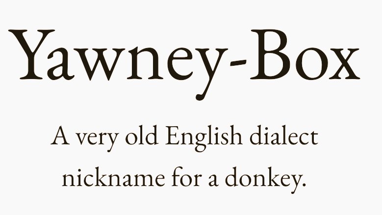 Cian McCarthy tweet media