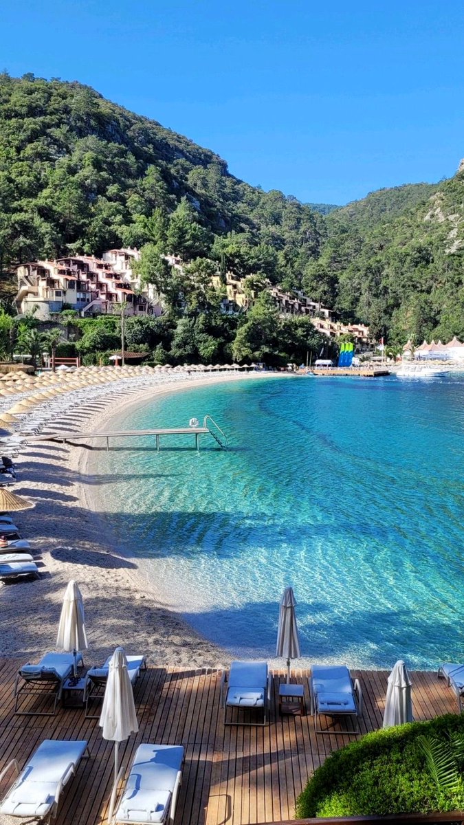 Nationalist tweet media