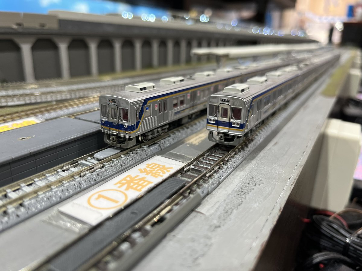 ←因みにこれを撮ったのが2022年の11月 そこから約3年3ヶ月経った姿が