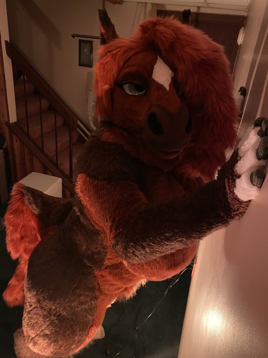 Are you gonna push me up against the wall?  What would you do?

#yiff #furry #fursuit #murrsuit #nsfw
