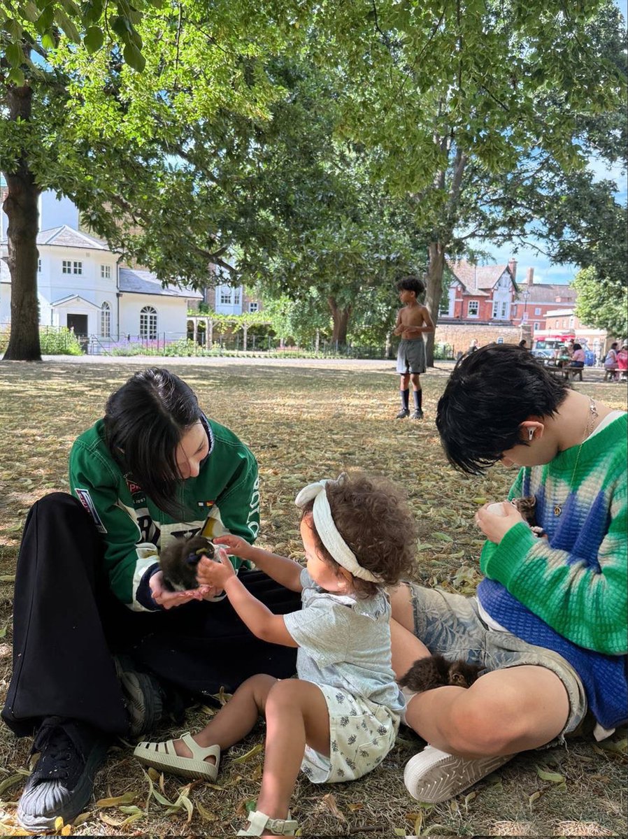 za ENHYPEN IS 7 | rest tweet media