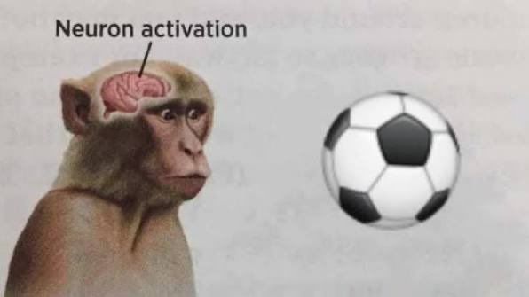 𝐁𝐚𝐫𝐠𝐲𝐞𝐫_𝟎𝟒 🇦🇷 tweet media