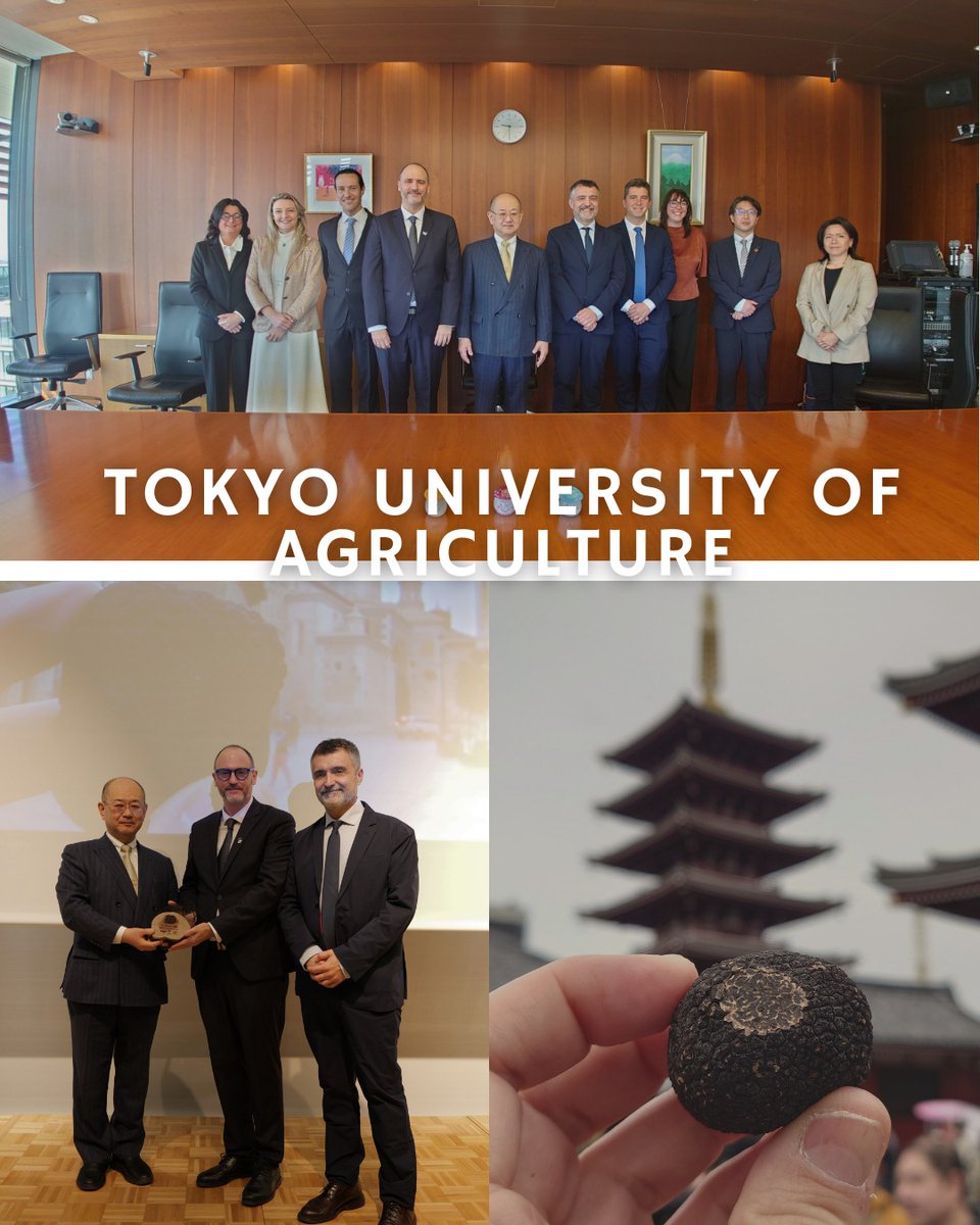 Trufforum official tweet media