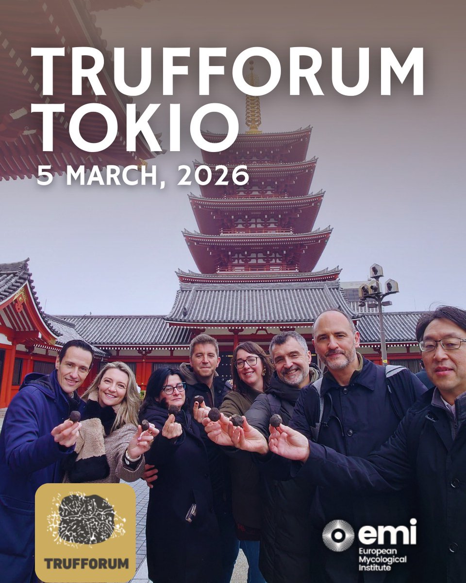 Trufforum official tweet media