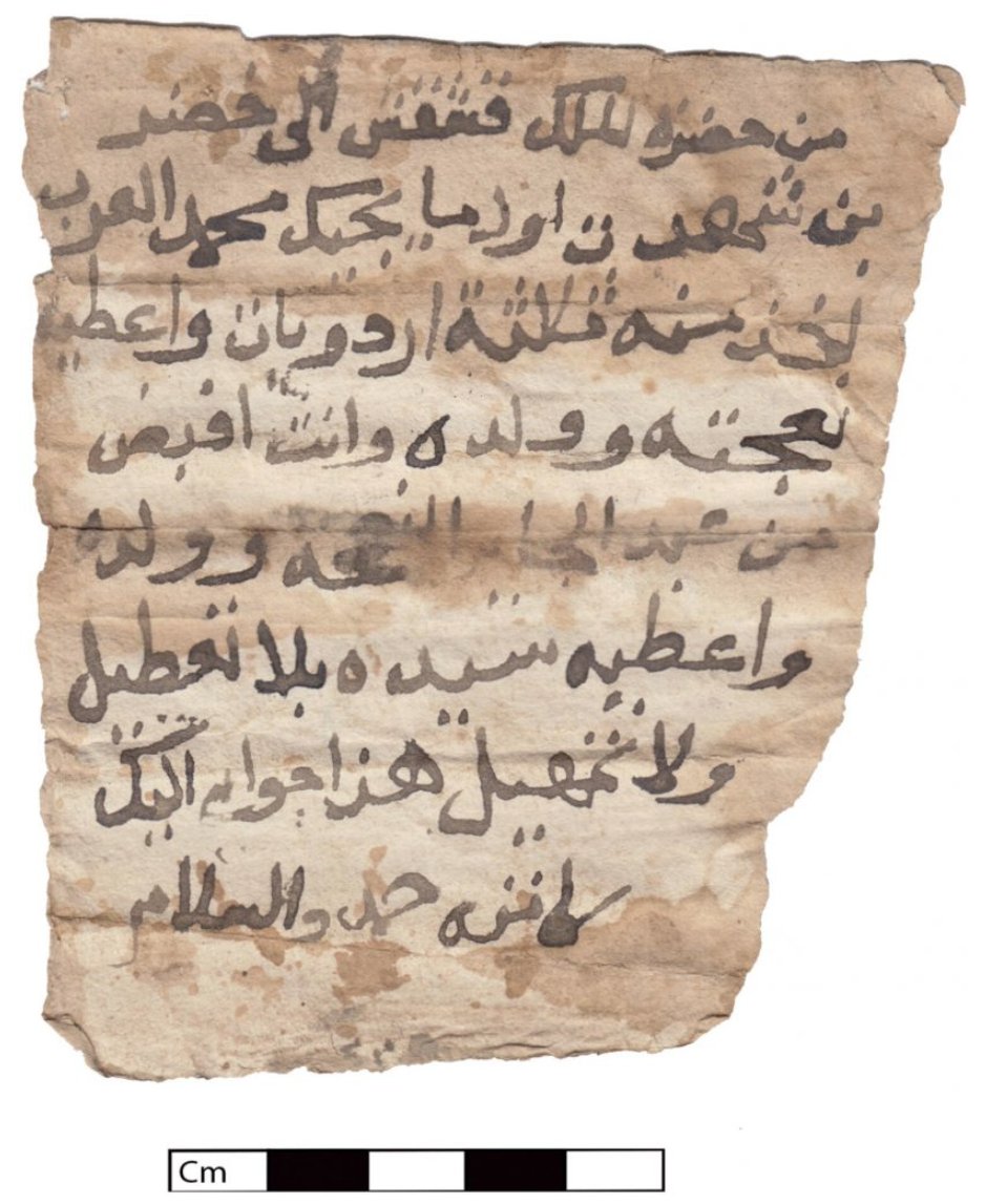 UniWarszawski's tweet photo. Naukowcy z #UW potwierdzili istnienie króla Qaszqasza. Odkryty przez badaczy z Centrum Archeologii Śródziemnomorskiej im. Kazimierza Michałowskiego arabski dokument potwierdza istnienie władcy, którego postać do tej pory uznawano za półlegendarną.
🔗https://t.co/lrYgxwSb5d https://t.co/Sq2pGHIqWN
