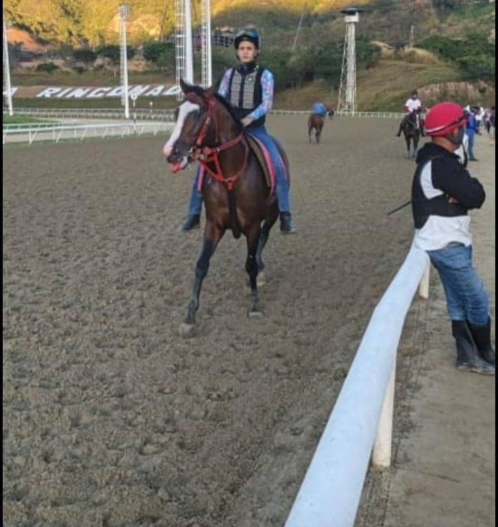 PabloJota27's tweet image. ((( #LARINCONADA ))) Mañana Muy Movida Con Muchos Galopes!!!! Este Domingo Es Pa' Conseguir La Súper Bologña 🤑🤑 Sin Dar Ni Un Milímetro De Ventaja #SUSCRIPCIONVIP 📲+584226485373 Vía WhatsApp-Telegram, YO NO VENGO A PASEAR 👇👇👇