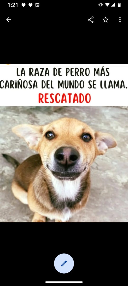 Luisgranate3's tweet photo. No hay otra más cariñosa y agradecida! 🤗🤗🤗❤️ https://t.co/IVMR9D6Agd