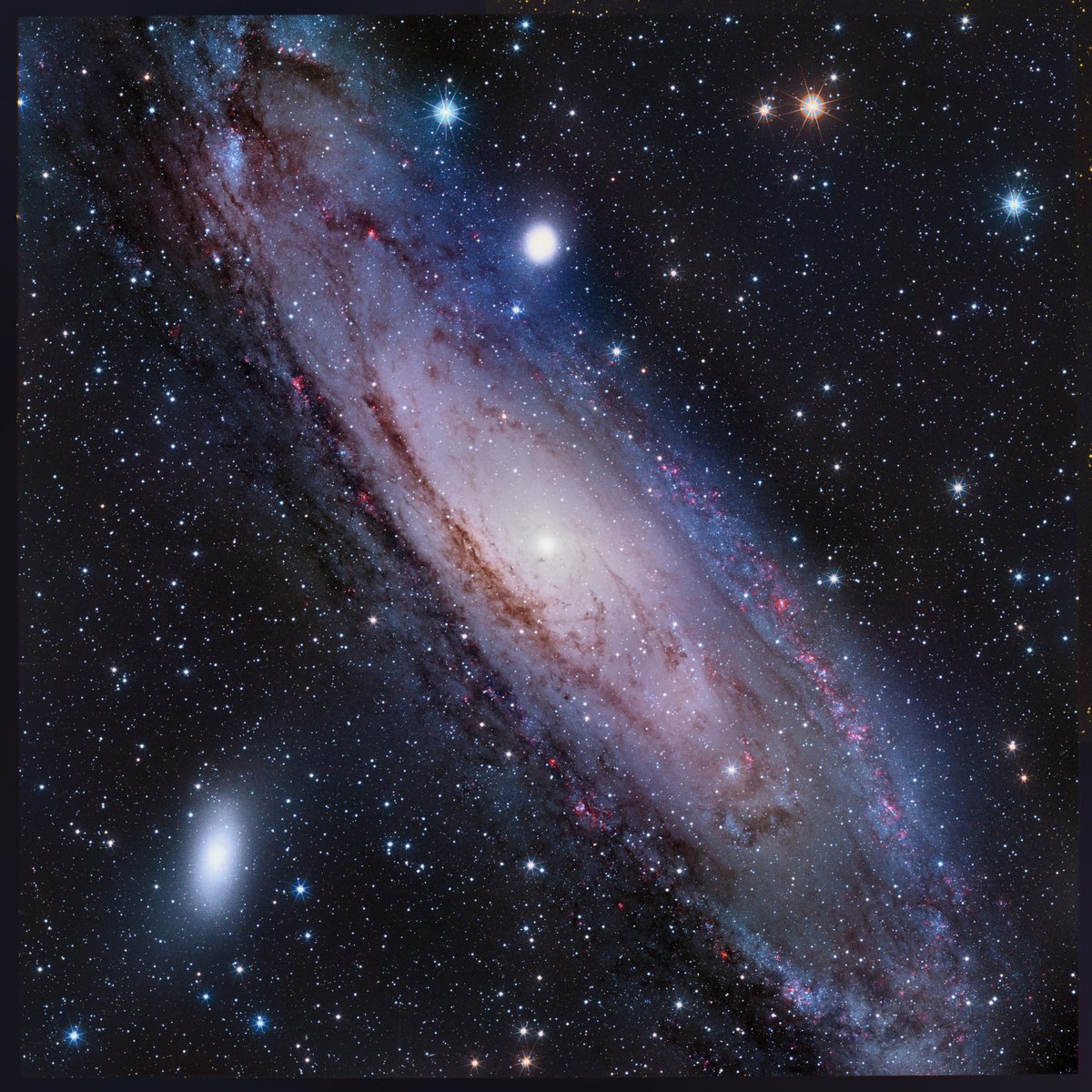 CEFCA_OAJ tweet media