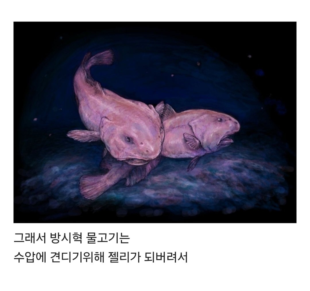 ArchiveMHJ's tweet photo. 아직도 기억나는 이상한 사건
인터넷에서 심해어 정보글 보는데
글쓴사람이 저 이상한 물고기를 방시혁 물고기라고 부름
글 후반부에선 진짜 이름 알려주겟지하고 걍 봣는데
진짜 끝까지 방시혁 물고기라고 부르고 이름 안알랴쥼 https://t.co/HHV4aPTnCa