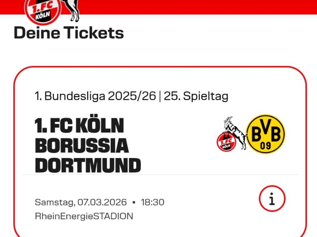 Die Welt ist schön 🌍BVB 🖤💛🖤💛 tweet media