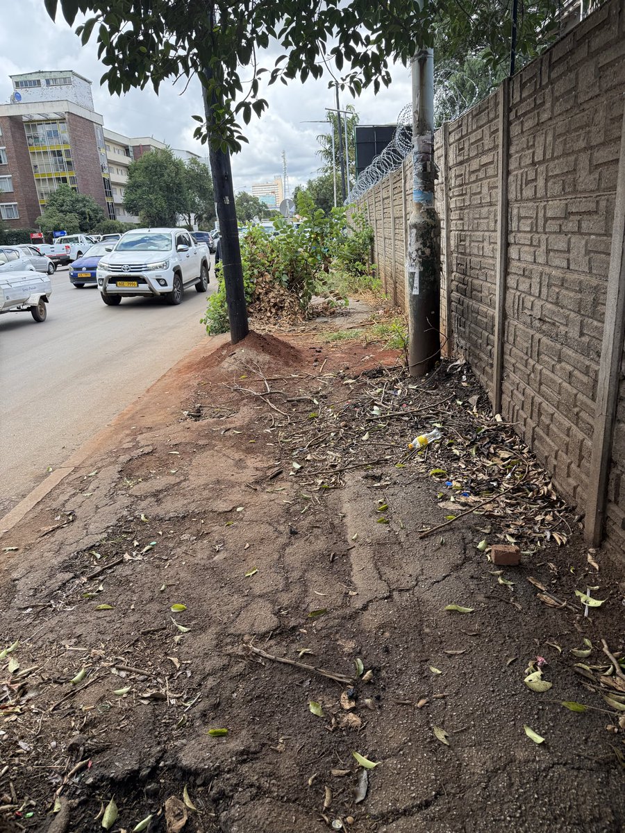 mmatigari tweet media