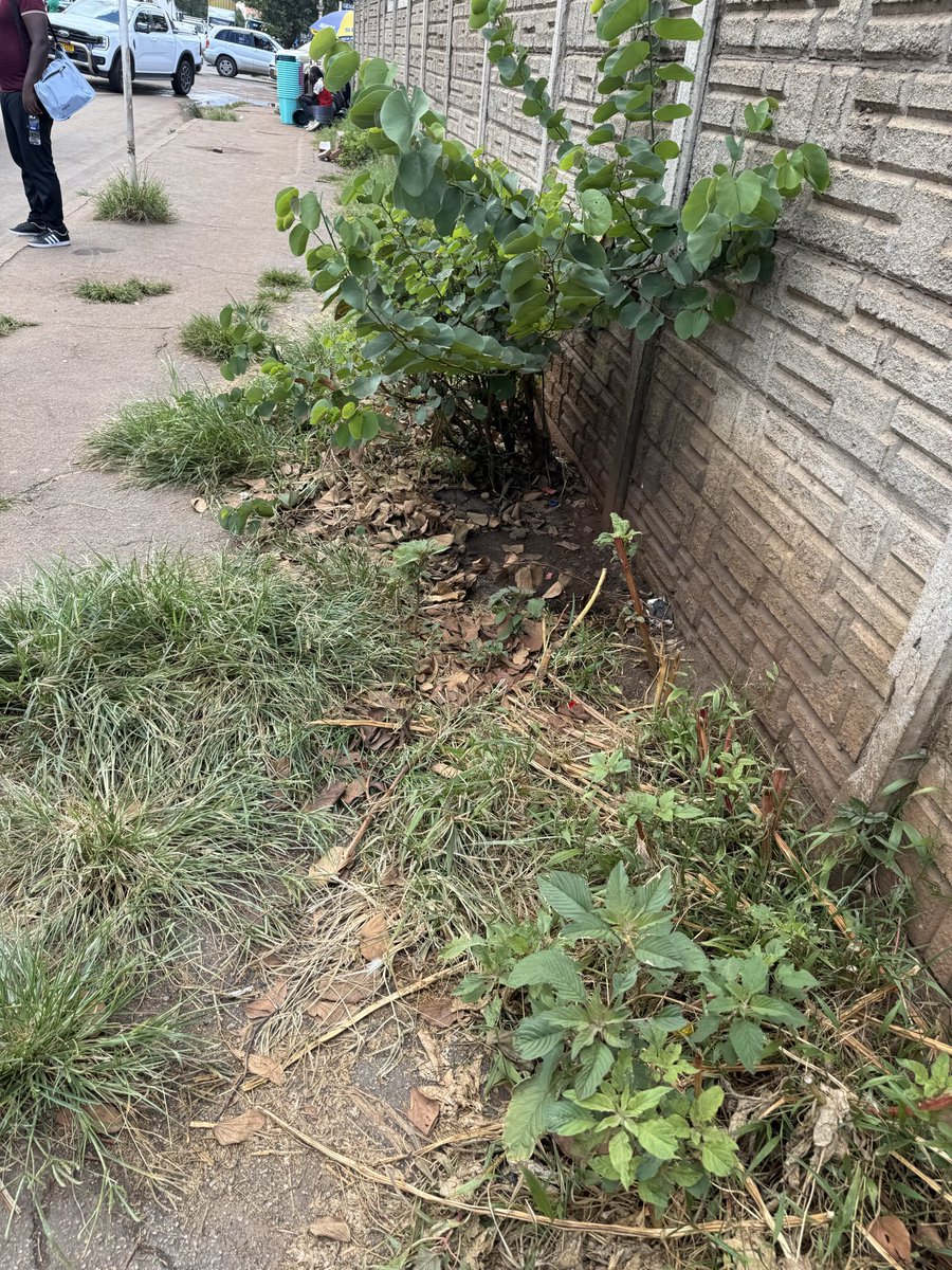 mmatigari tweet media