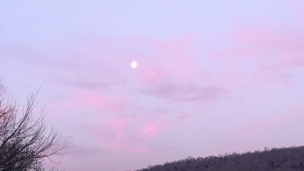 Daniel Harbin tweet media