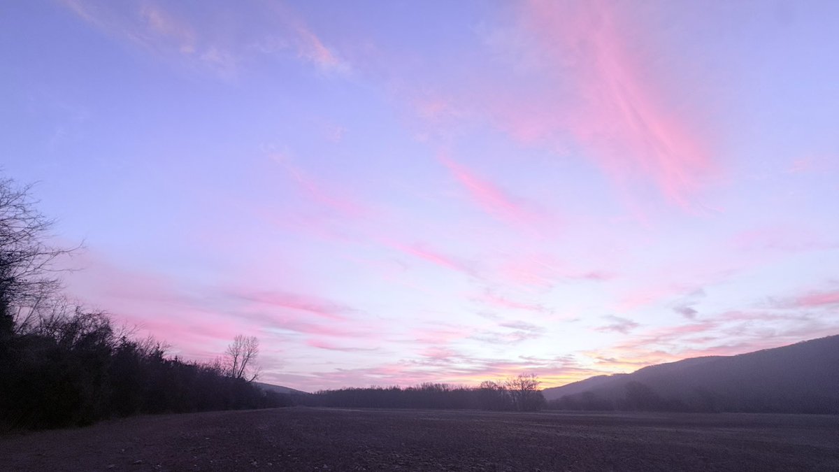 Daniel Harbin tweet media