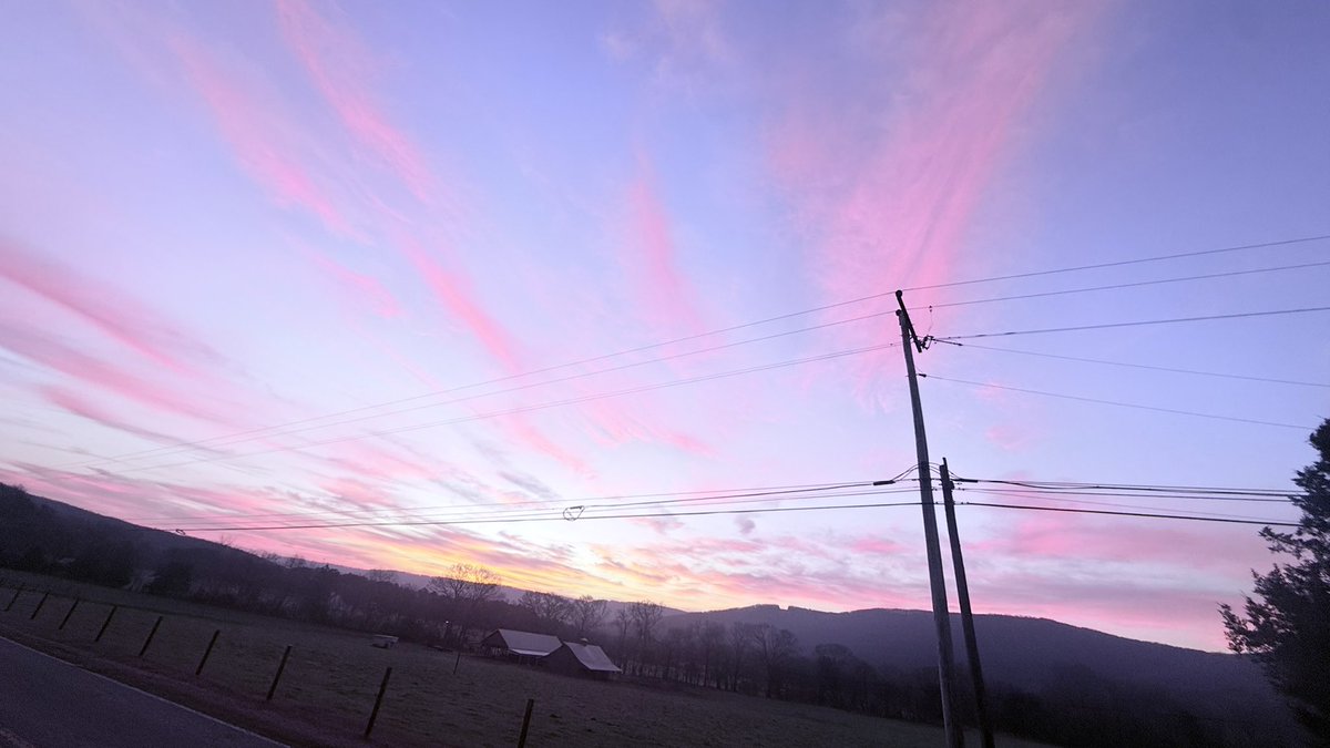 Daniel Harbin tweet media