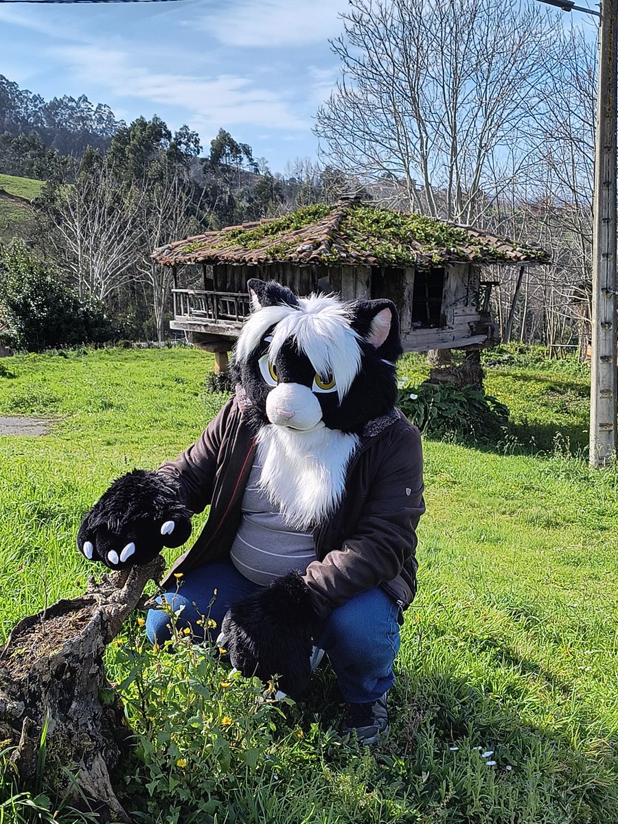 Usmo Galear tweet media