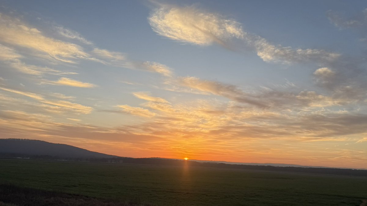 Daniel Harbin tweet media