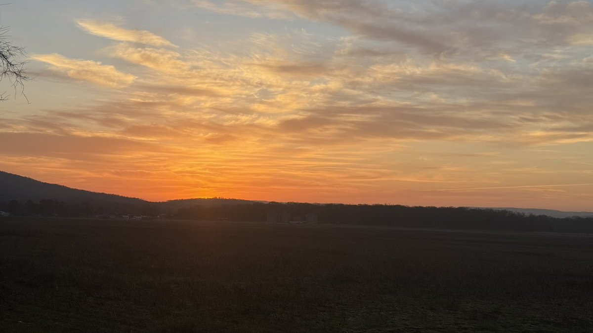 Daniel Harbin tweet media