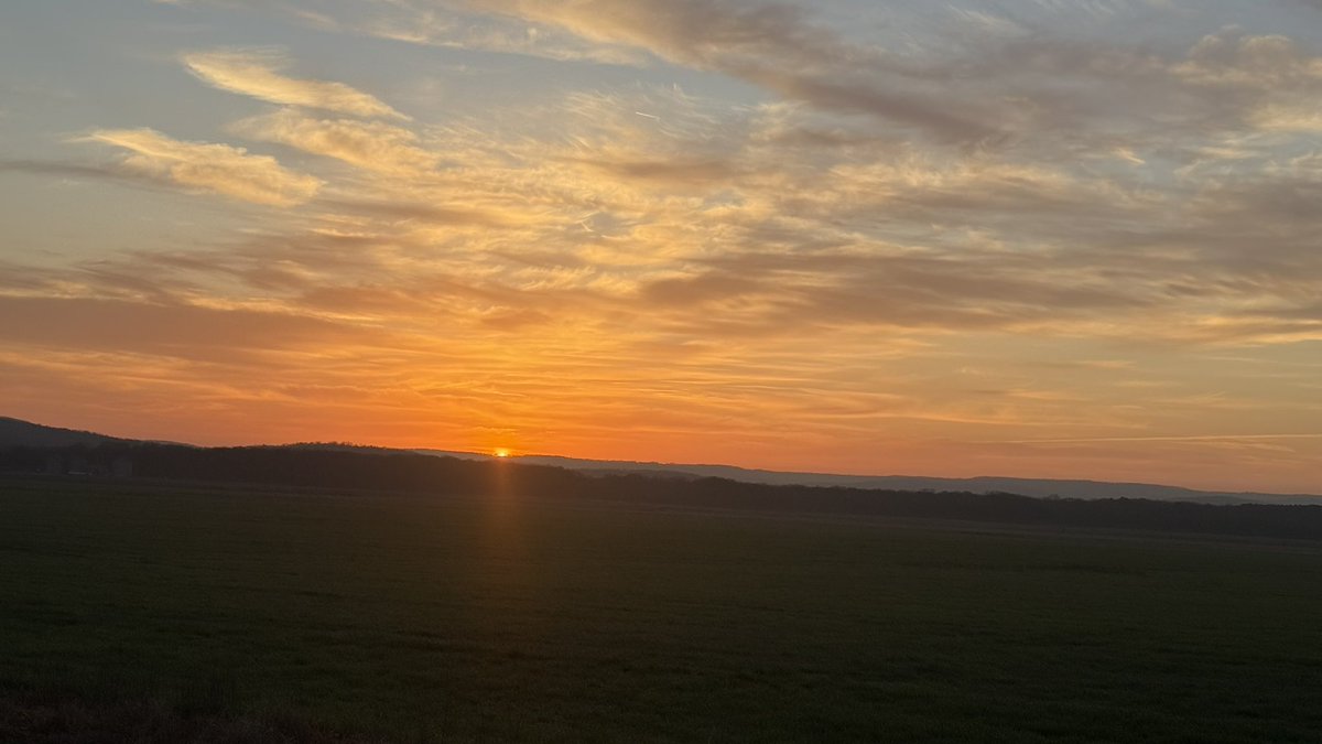 Daniel Harbin tweet media