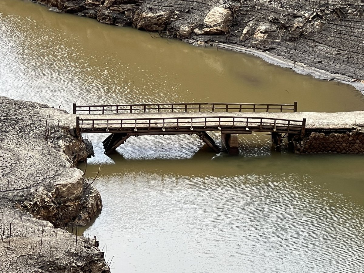 henro0210's tweet photo. 渇水の宇連ダム(愛知県)。貯水率1.9%。
木造の橋､橋脚､旧道､田畑の跡などの遺構が出現していた…。
ダム湖の遺構を幾つか見てきたがここは凄い…。 https://t.co/JejMLQ736x