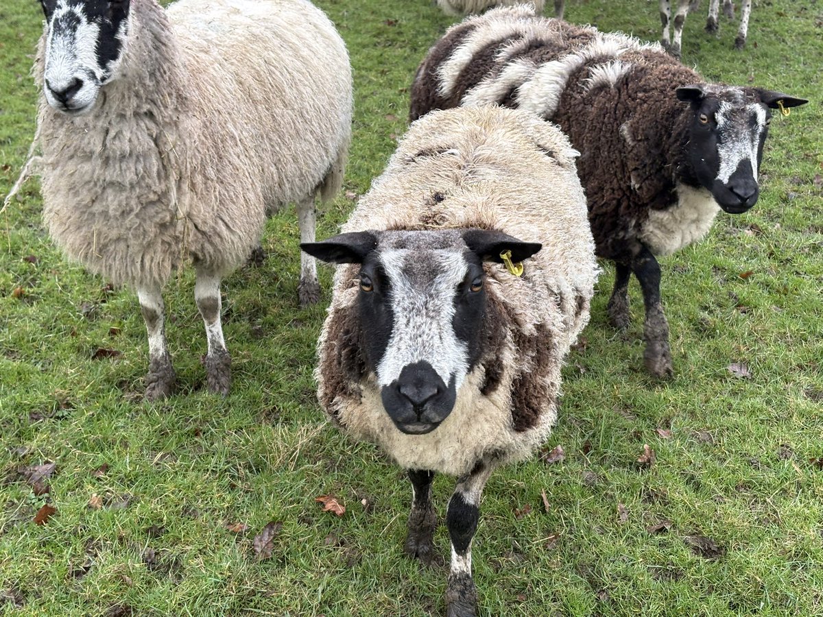 Alexander Silverwood tweet media