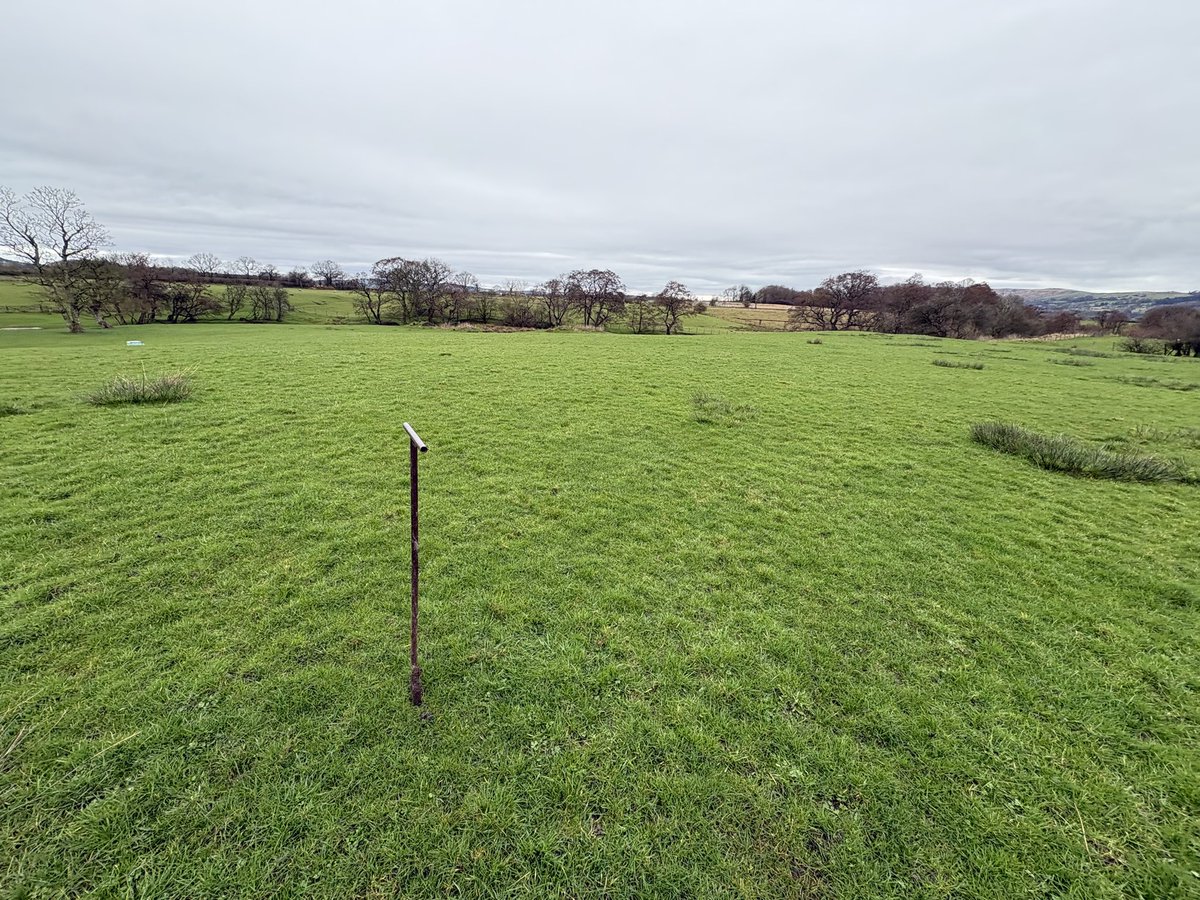 Alexander Silverwood tweet media