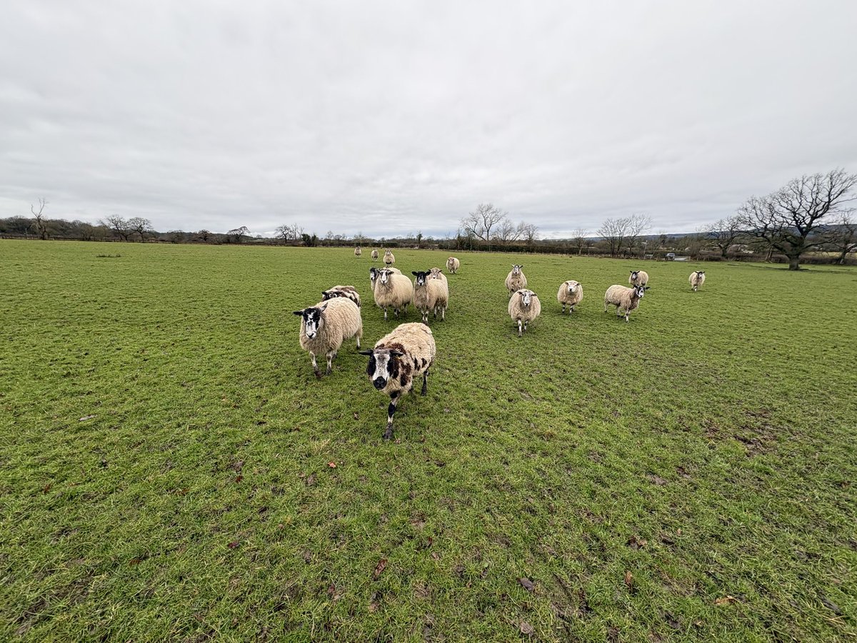 Alexander Silverwood tweet media