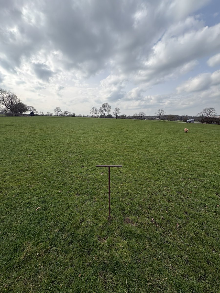 Alexander Silverwood tweet media