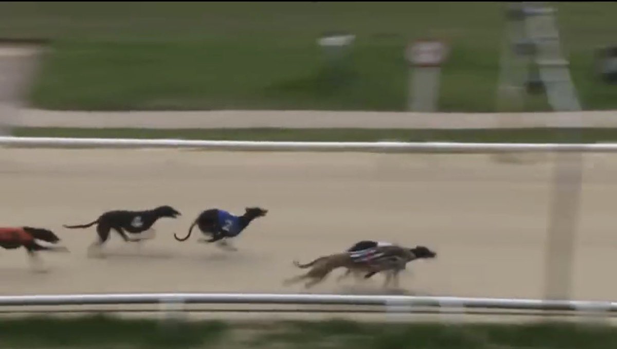 mdm_tips's tweet image. 11/4 ✅

Signet Ell does the job, she didn’t want to win by very far but stuck her head down where it mattered.

BSP: 2.59

Another huge value winner #mdm